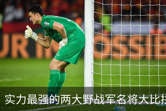 实力最强的两大野战军名将大比拼，到底谁更胜一筹？