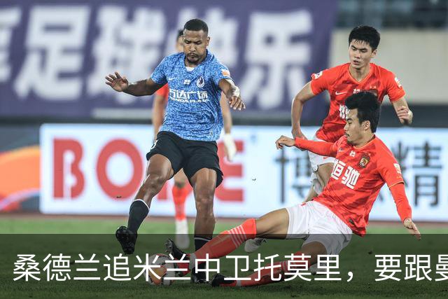 桑德兰追米兰中卫托莫里，要跟曼联热刺等五队抢人
